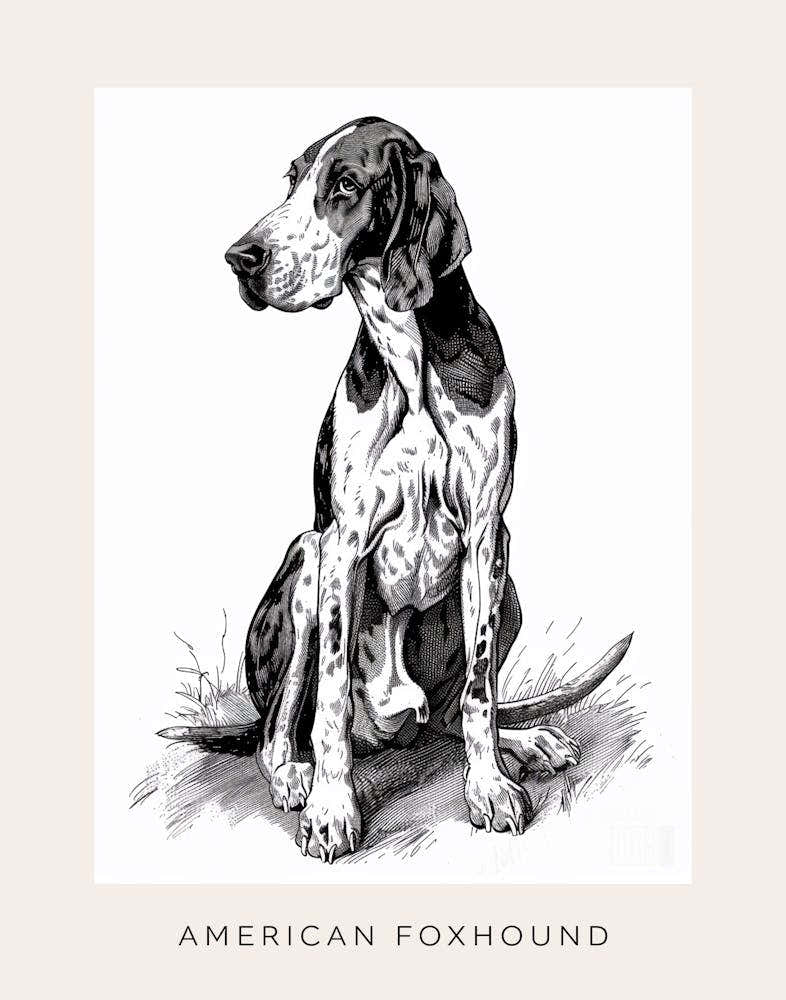 American Foxhound Dog Line Sketch Poster