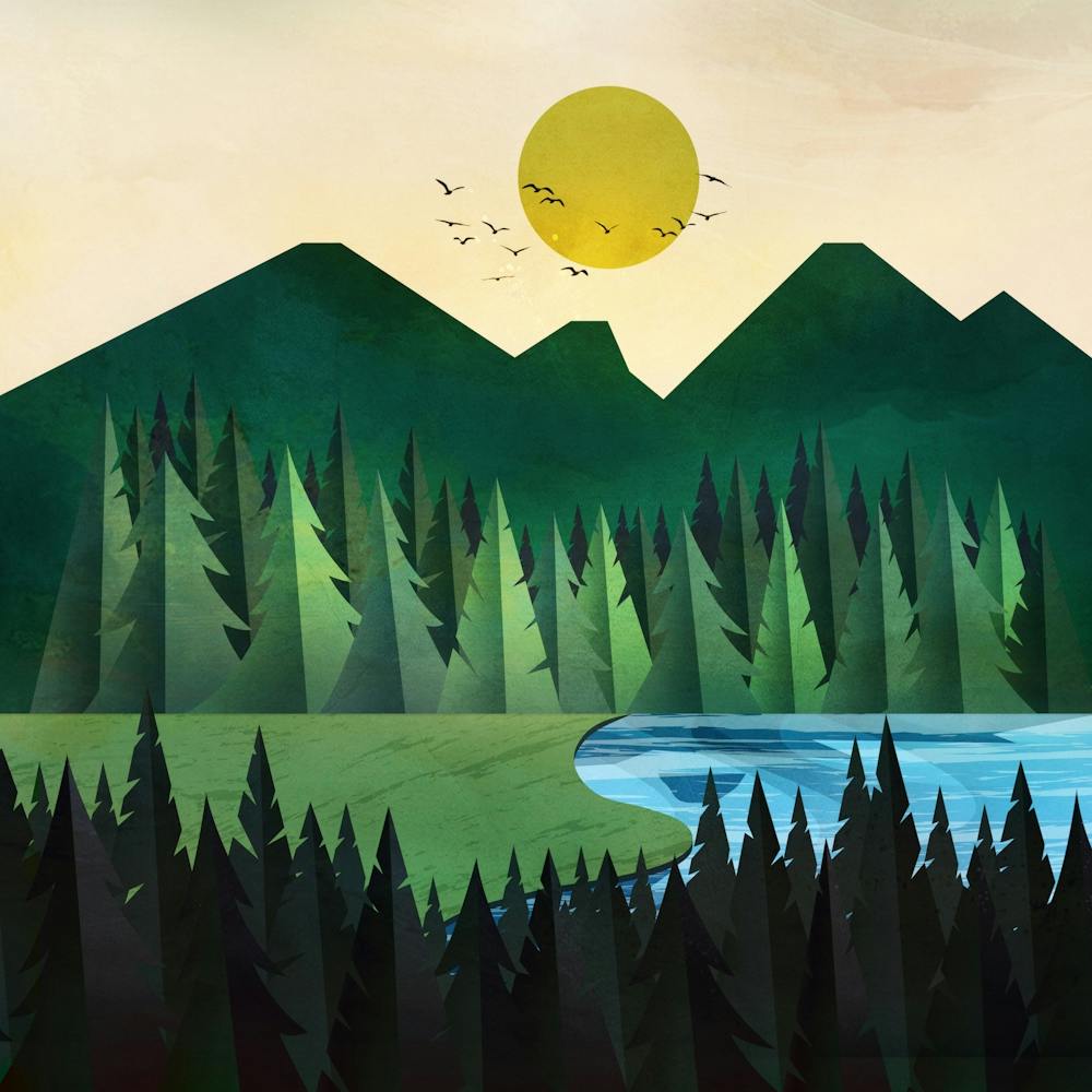 Sunny Day Near The Clear Forest Lake