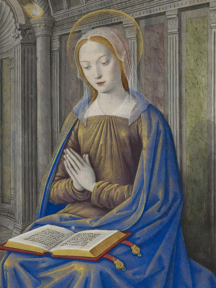 Madonna Of The Book