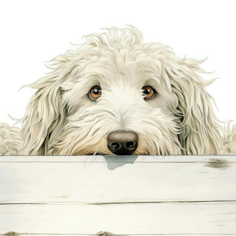 Dog Peeking Over The Fence 7