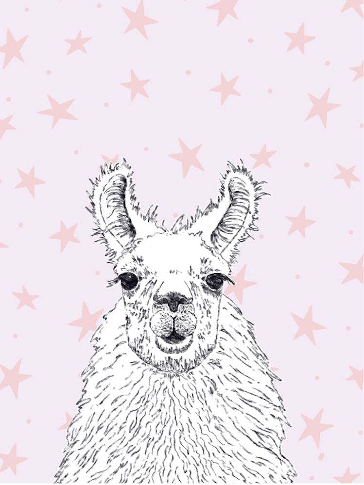 Llama With Stars