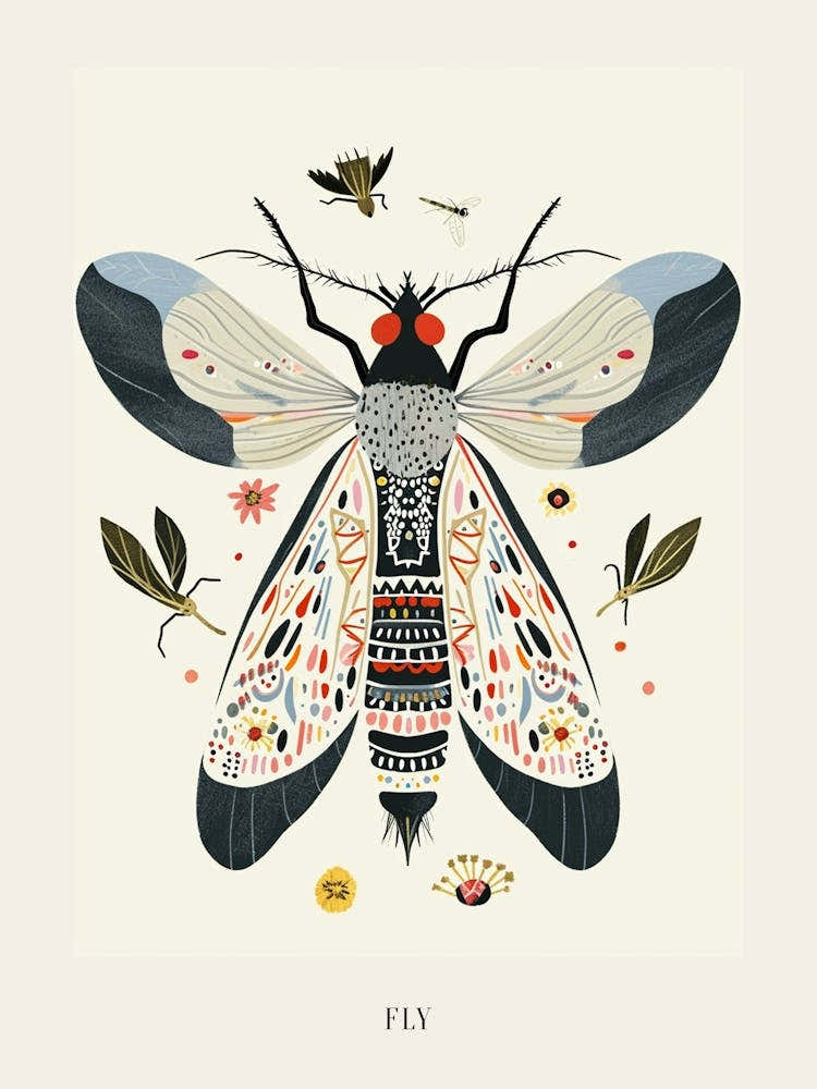 Colourful Insect Illustration Fly 15 Poster