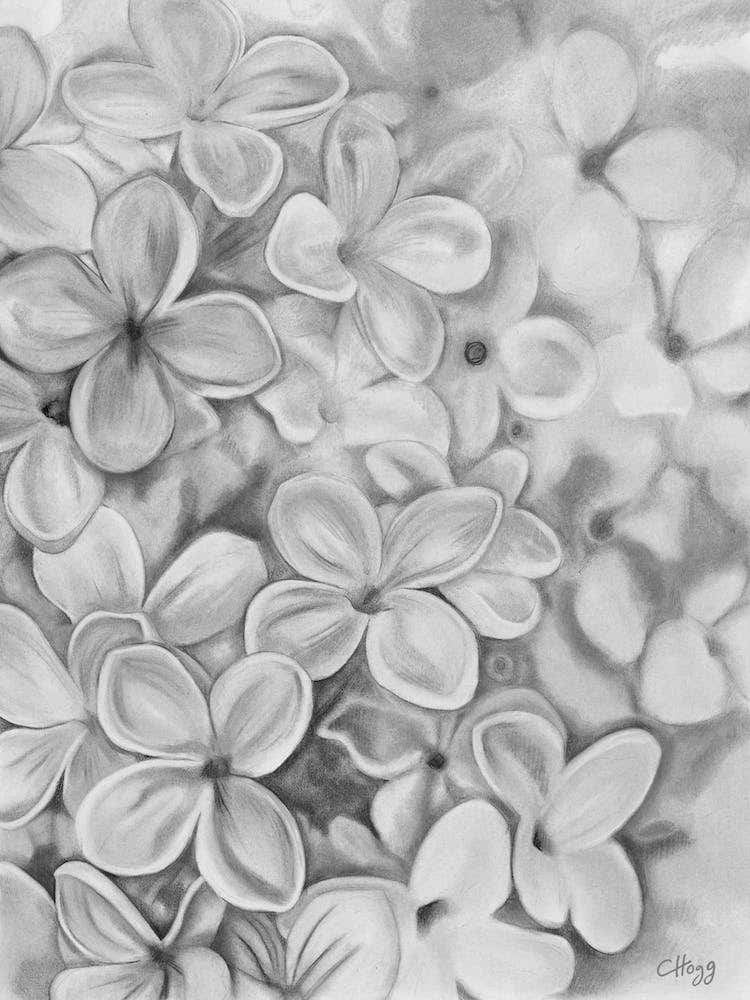 The Essence Of Spring Black