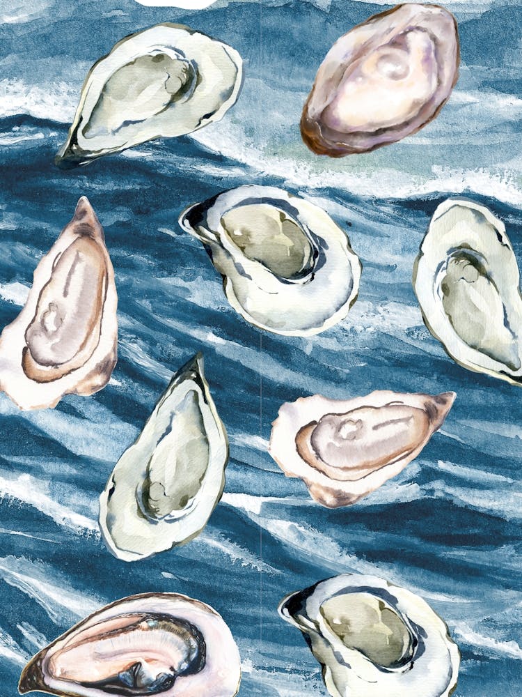 Oysters In The Water