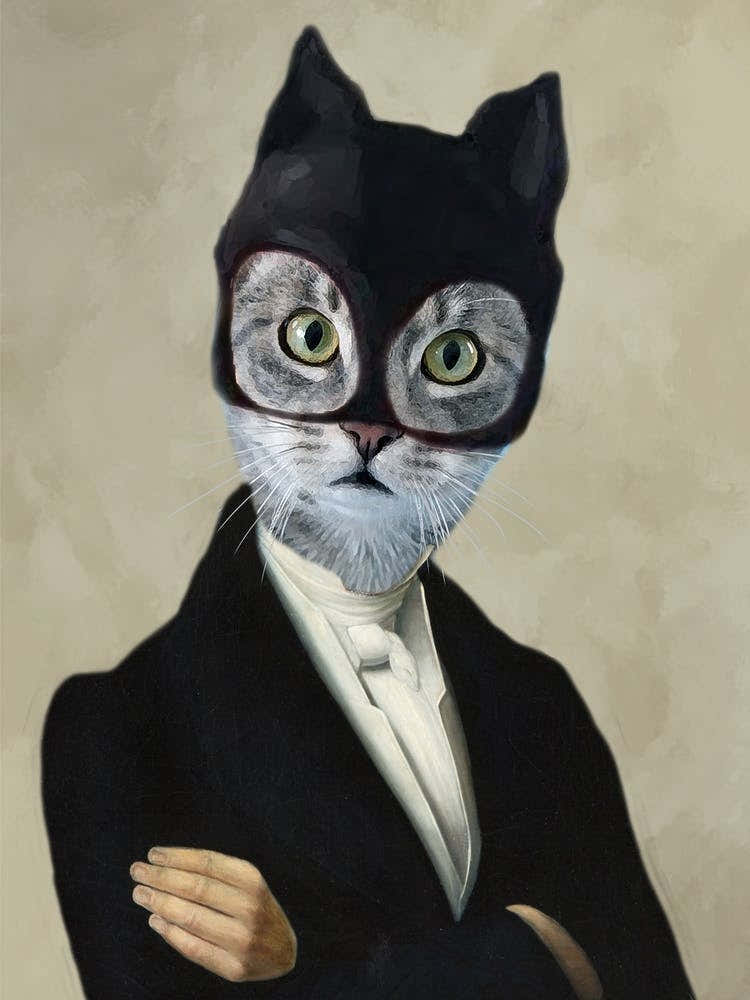 Batman Cat