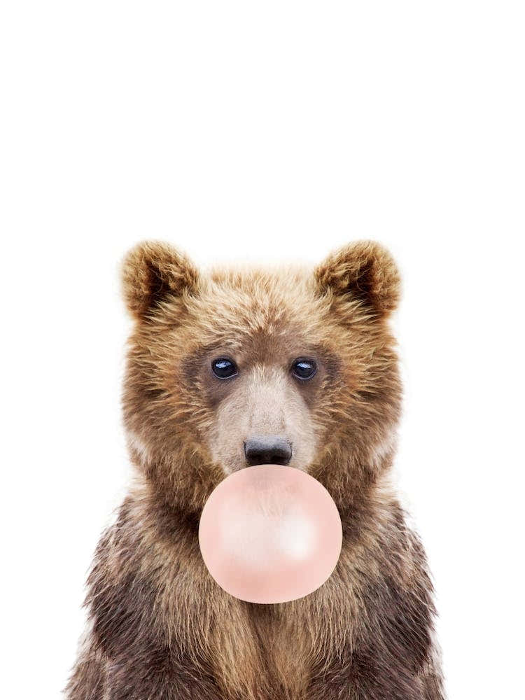 Bubble Gum Bear