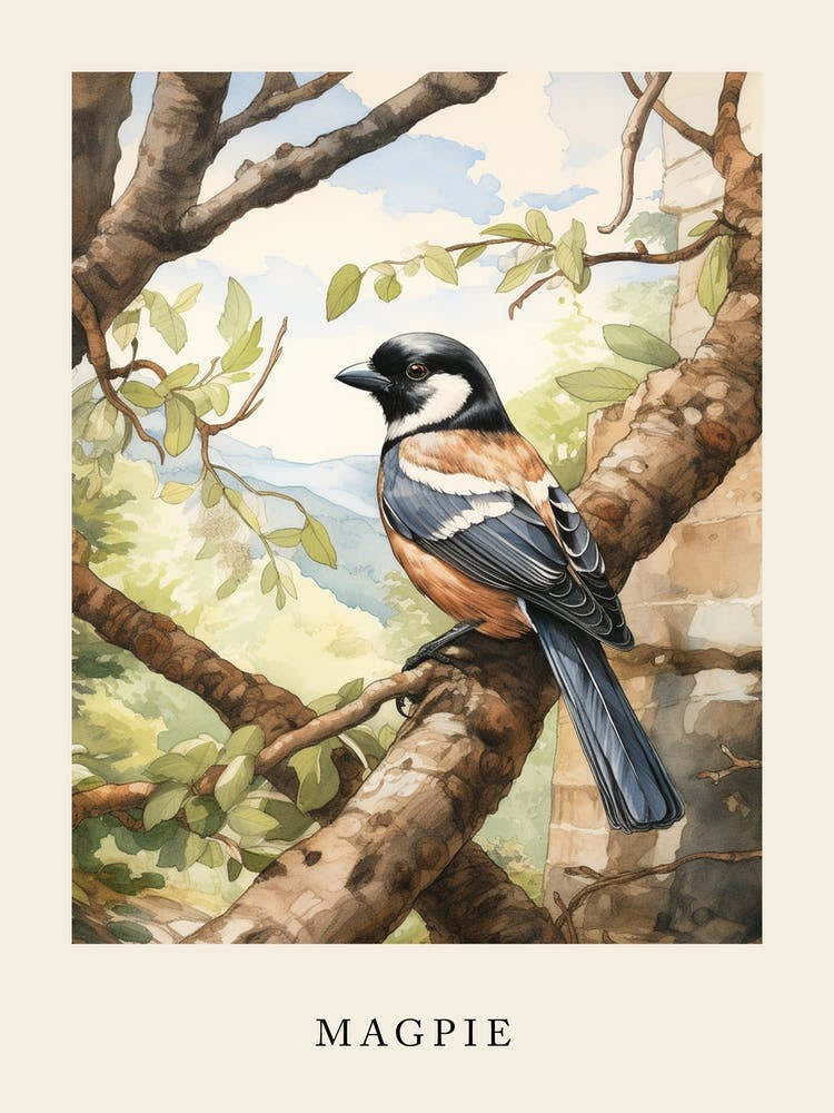 Beatrix Potter Inspired  Animal Watercolour Magpie 1