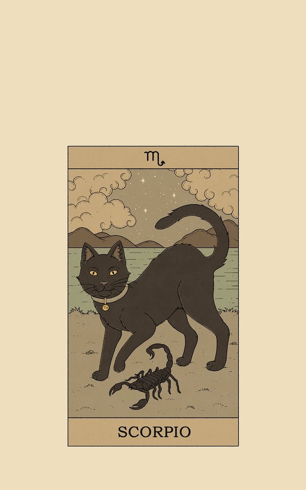 Scorpio Cat