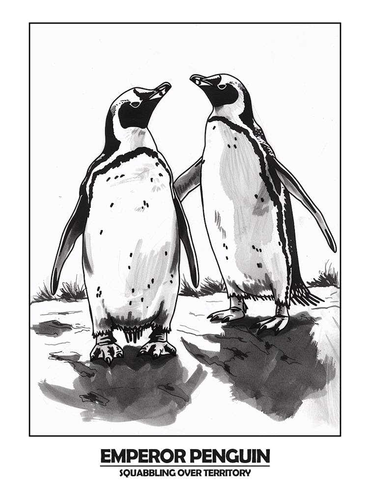 Penguin Squabbling Over Territory Poster 4