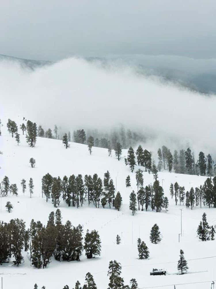 Falls Creek, Australia Black And White Skiing Poster