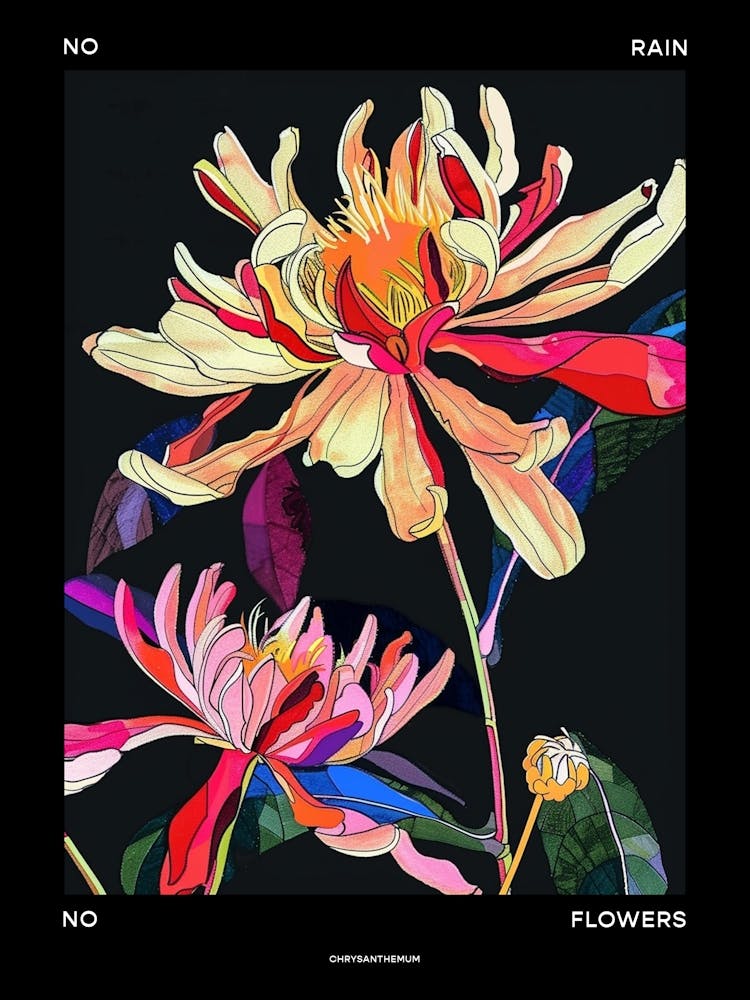 No Rain No Flowers Poster Chrysanthemum 1
