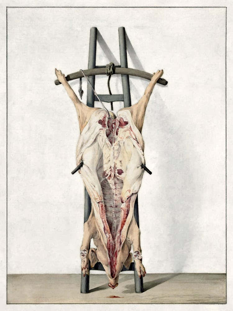 Dead Pig (1796), Jean Bernard