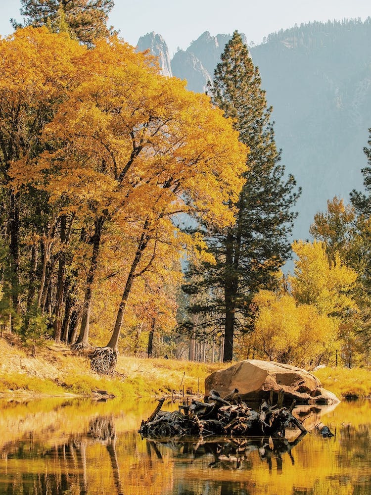Autumn Forest Creek
