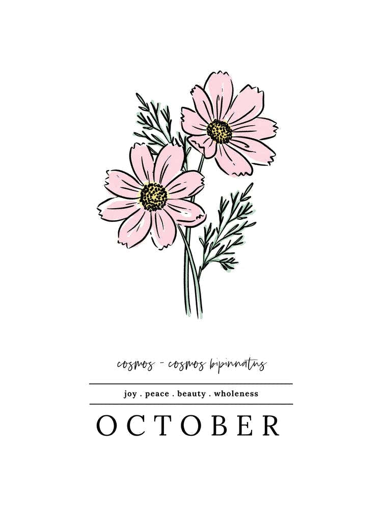 October Cosmos Birth Flower 2