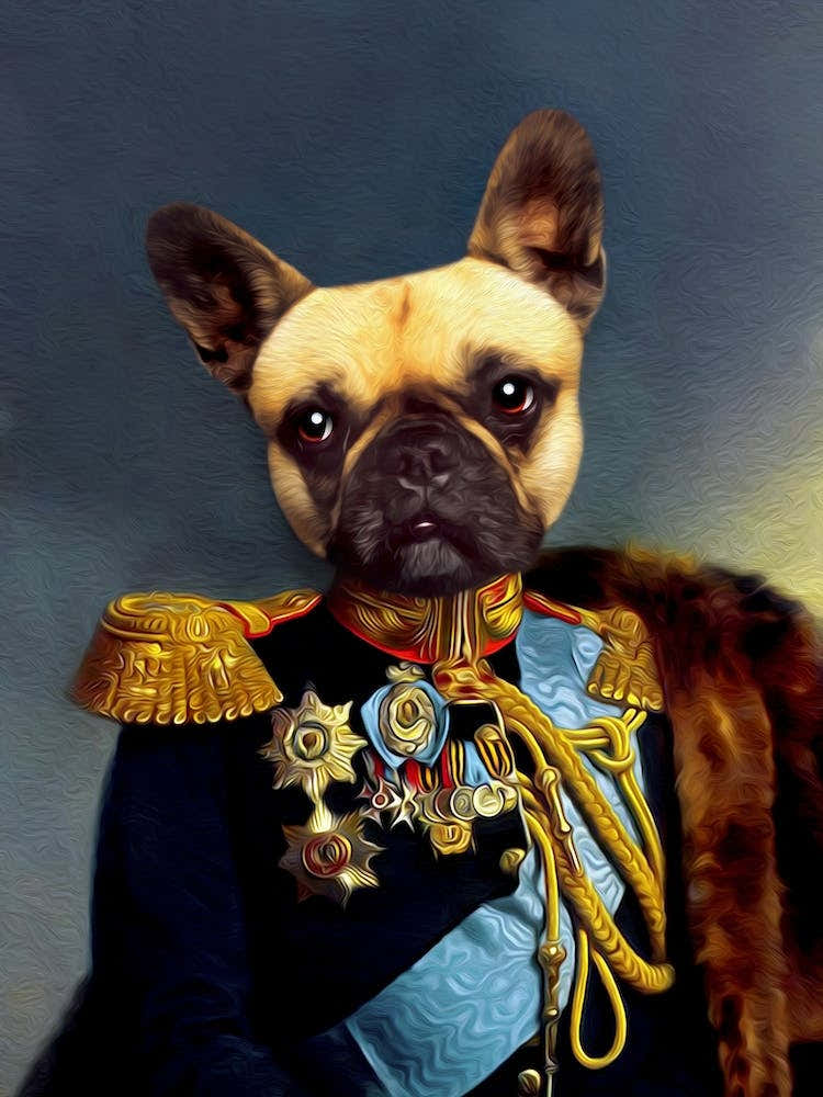 Sergeant Ken The Pug Dog Pet Portraits