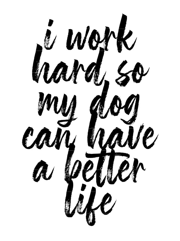I Work Hard So My Dog Can Have A Better Life Script