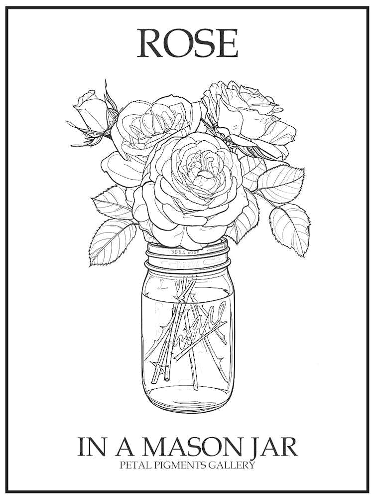 Rose In A Mason Jar Line Drawing 1 Poster