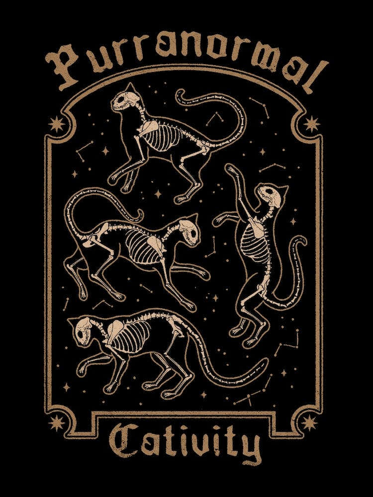 Purranormal Cativity