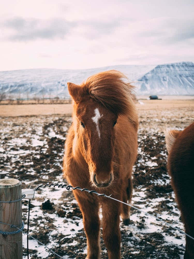 Three Peaks Of Lavaredo, Auronzo Di Cadore, Italy