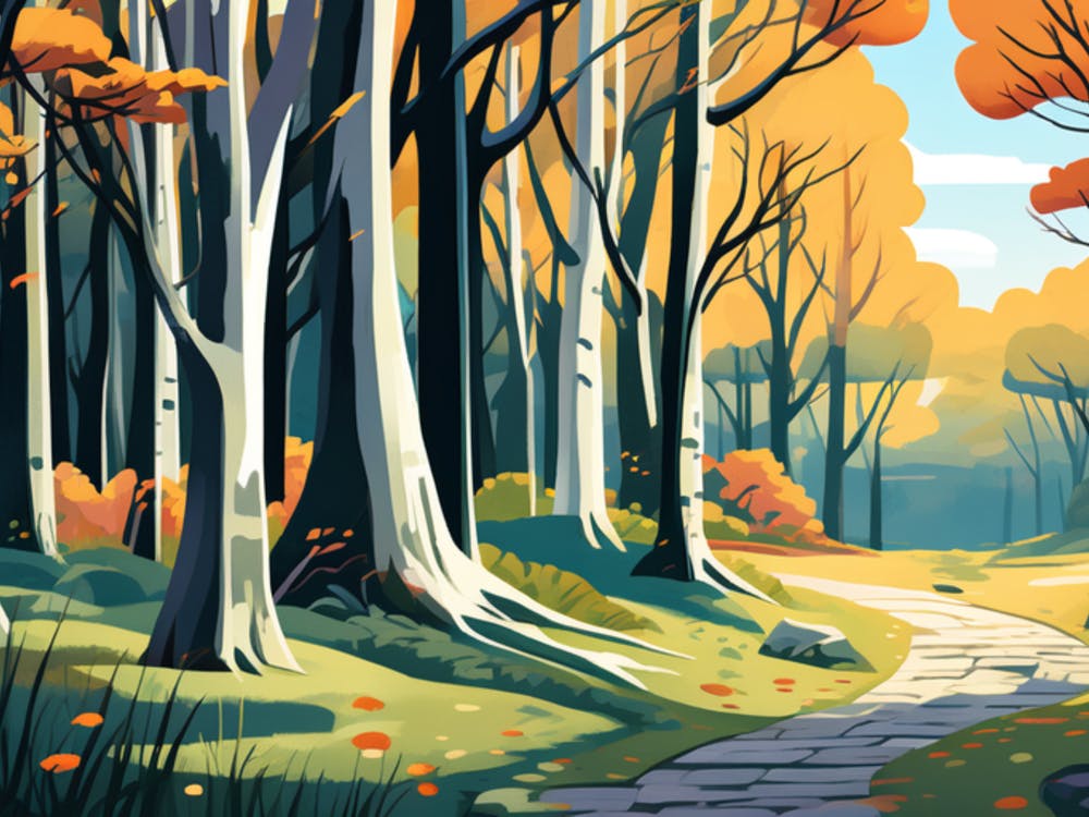 Autumn Forest Path