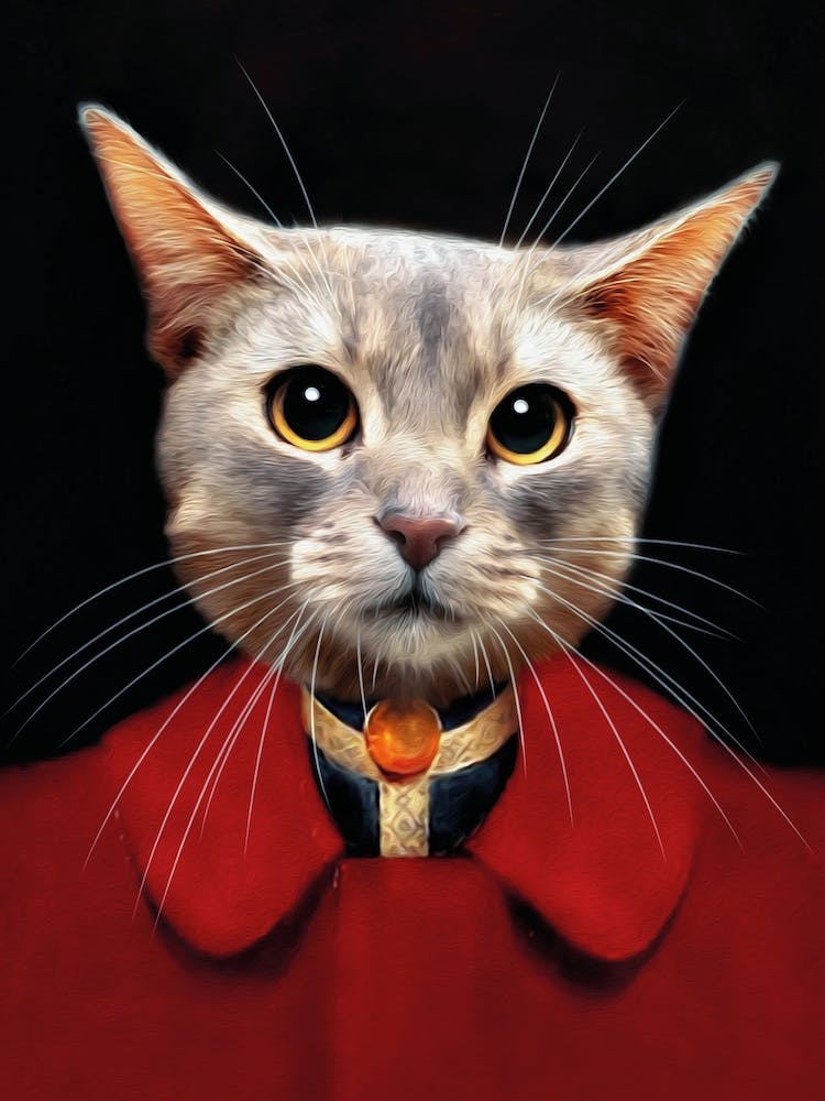 Fearless Bicky The Cat Pet Portraits