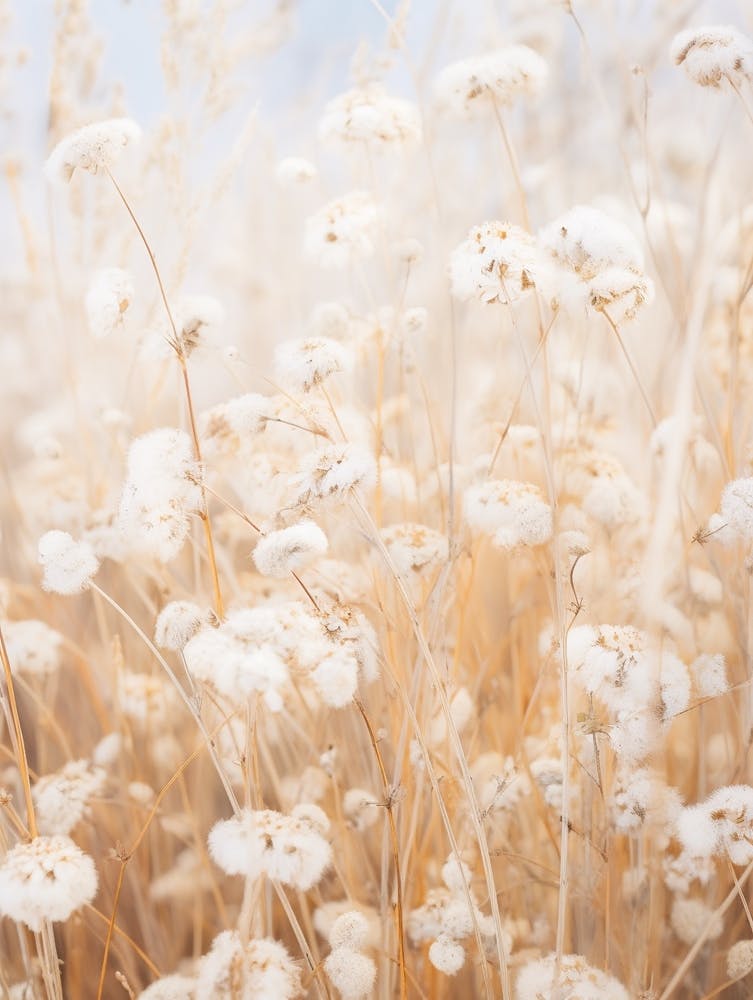 Boho Dried Flowers Forget Me Not 3