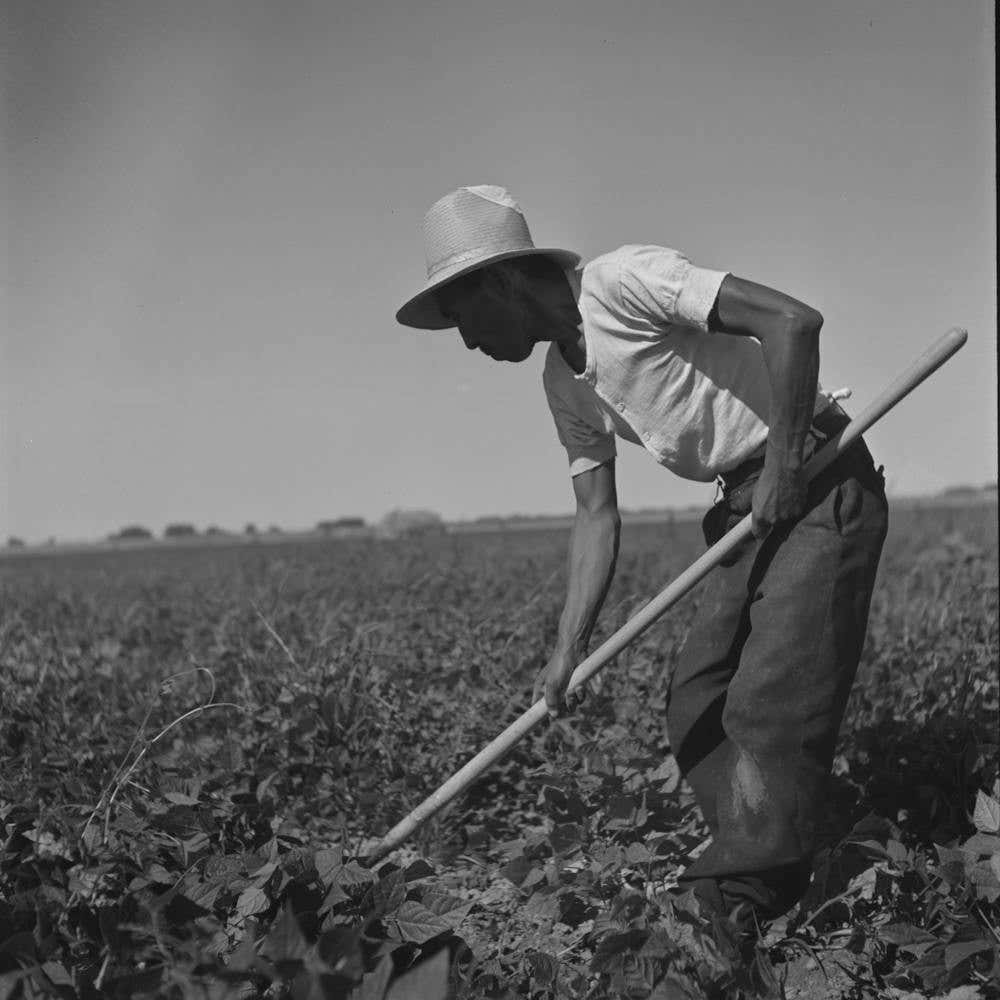 Untitled Photo, Possibly Related To Twin Falls County, Idaho