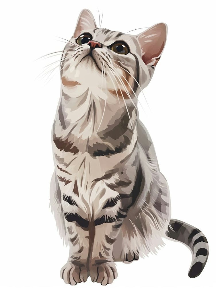 American Shorthair Cat Clipart Illustration 4