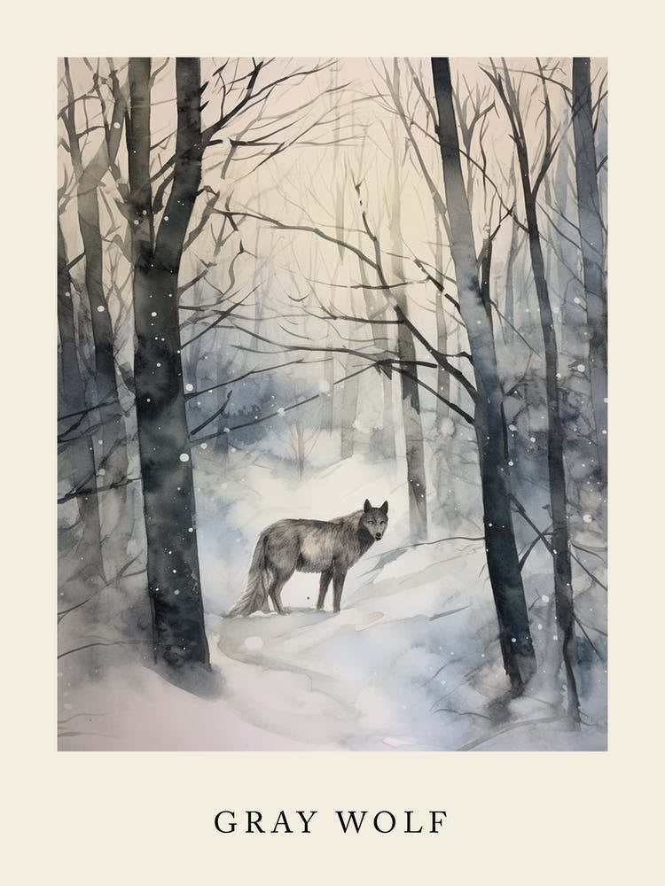Winter Watercolour Gray Wolf 4 Poster