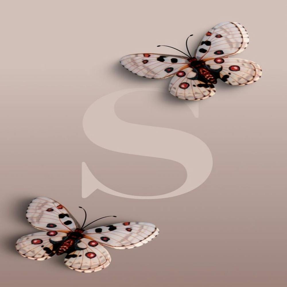 Butterfly S