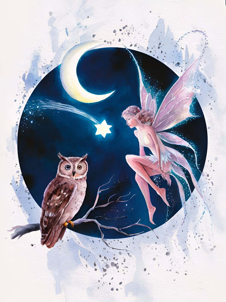 Fairy And Owl