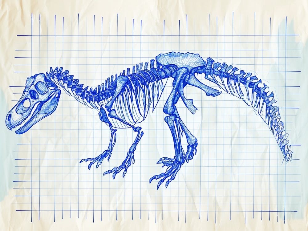 Acrocanthosaurus Dinosaur Skeleton Blueprint 3