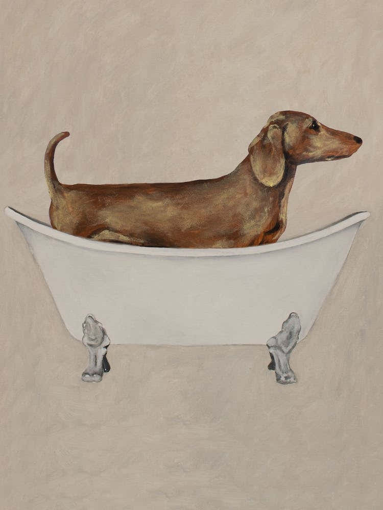 Dachshund In Bathtub