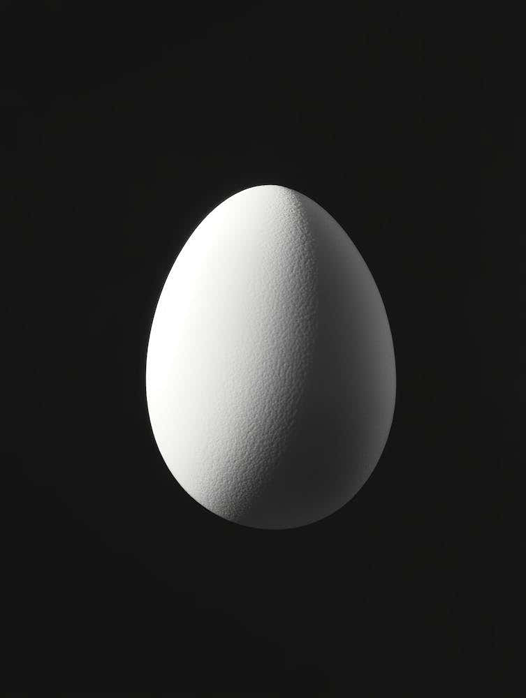 White Egg On Black Background