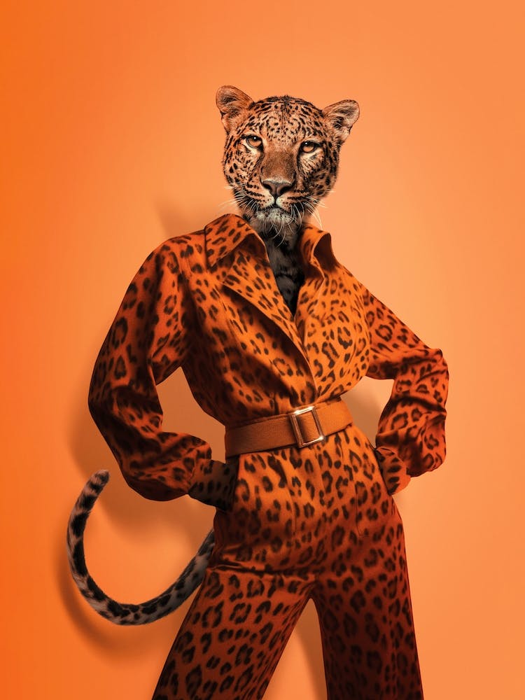 Fashion Leopard