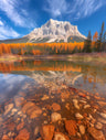 Seasonal Photography Art Prints
