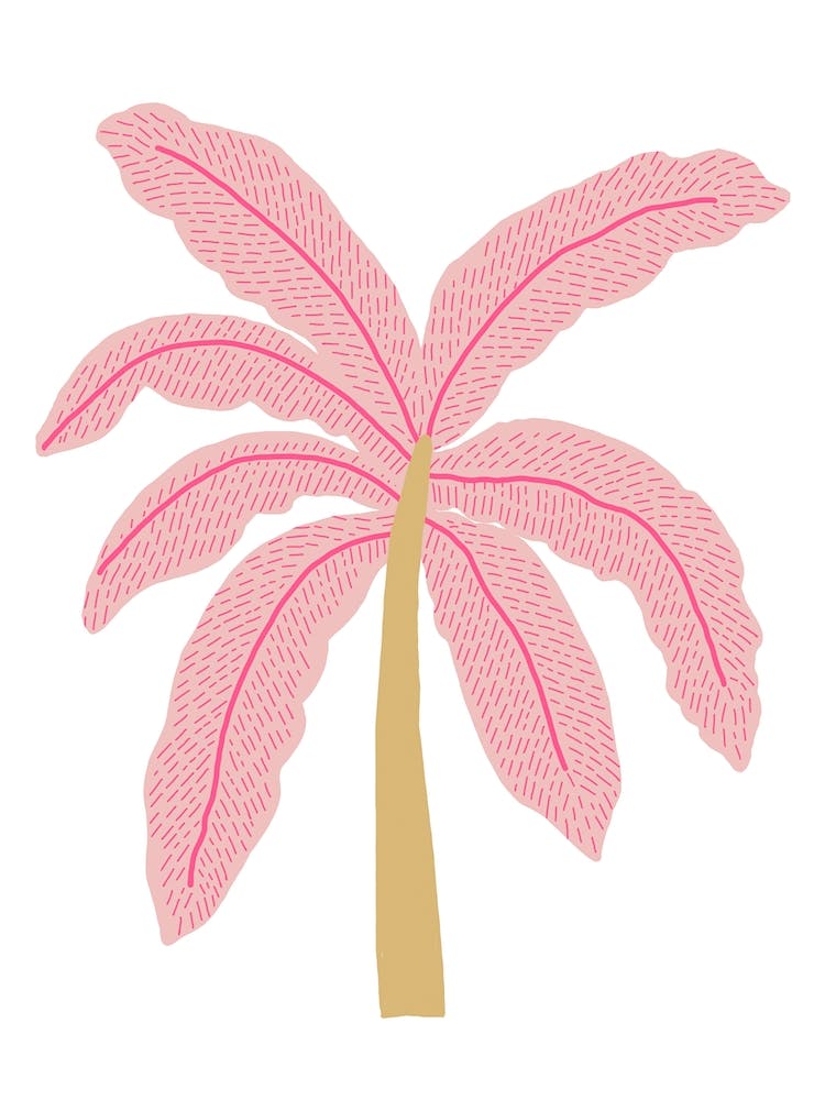 A Lone Palm Pink