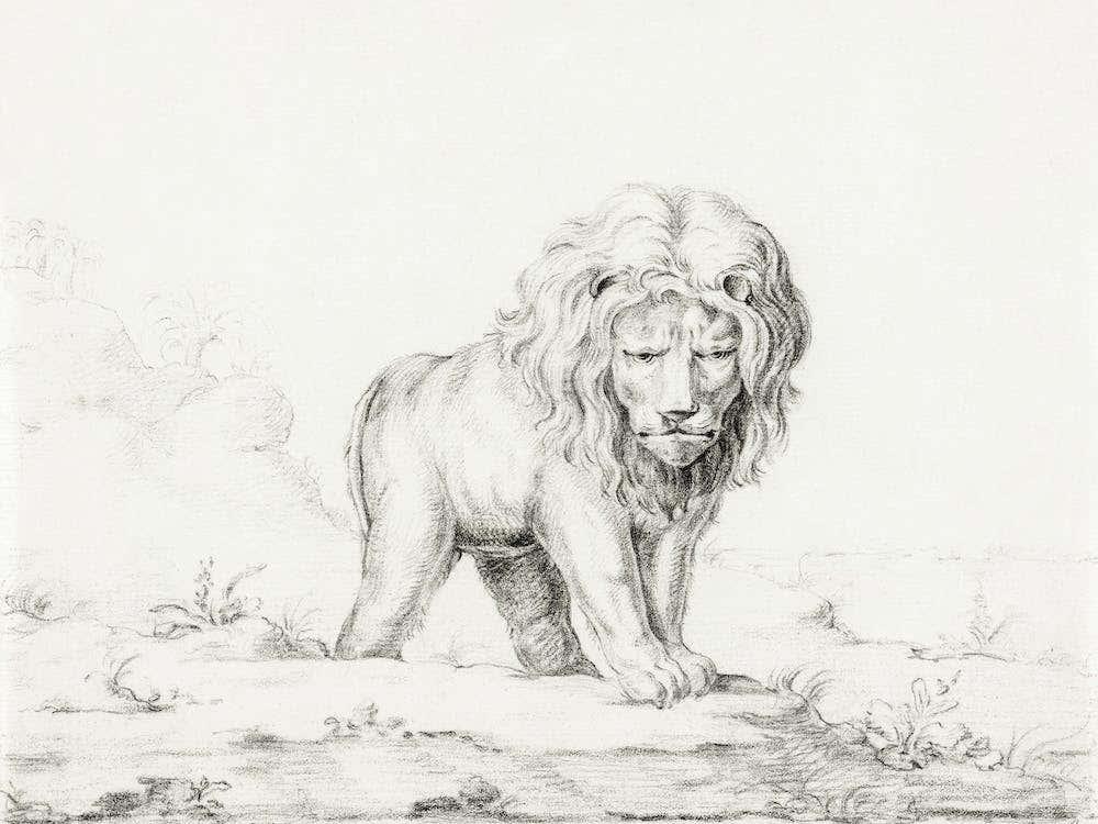 Lion, Jean Bernard