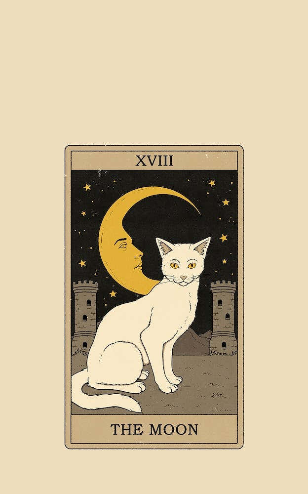 The Moon    Cats Tarot