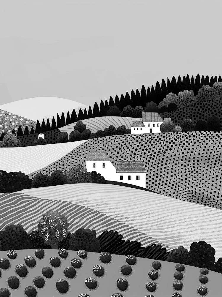 Black And White Landscape