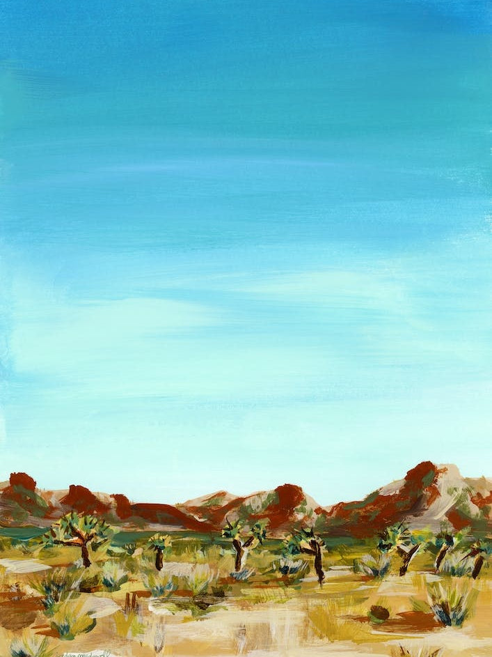 Joshua Tree California Landscape