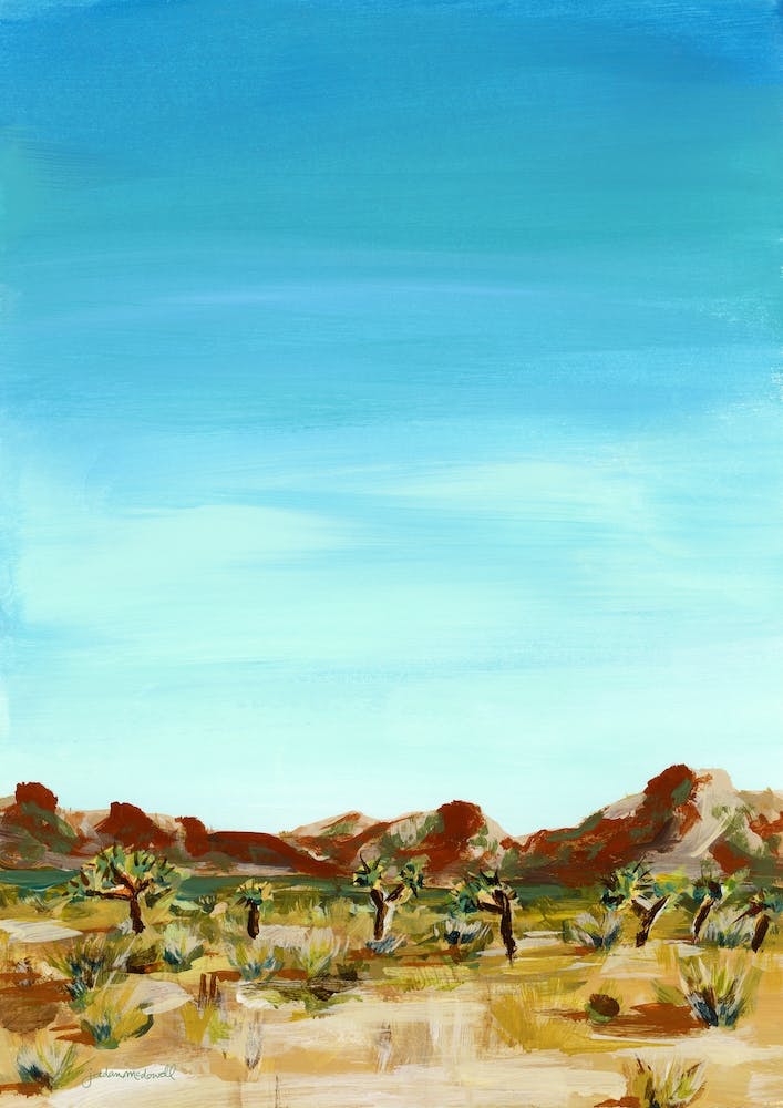 Joshua Tree California Landscape