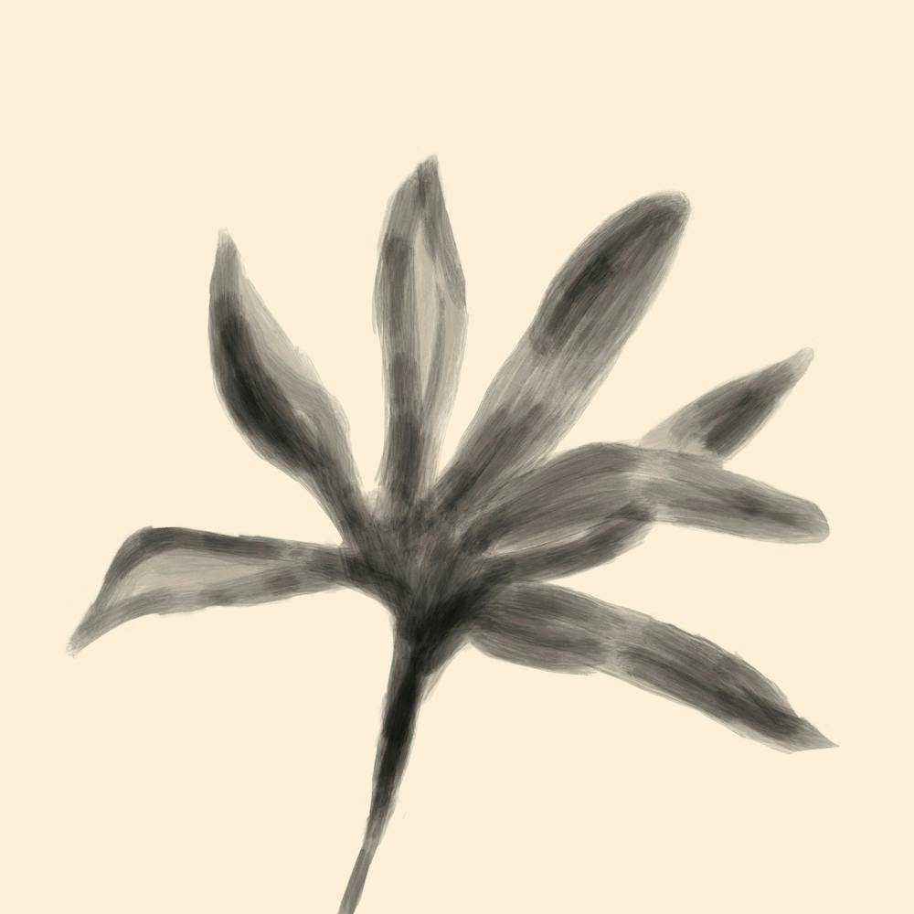 Flower In Black And Beige