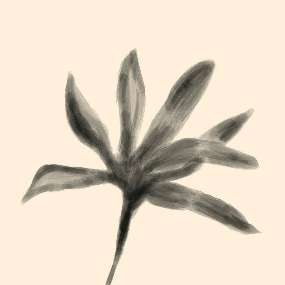 Flower In Black And Beige