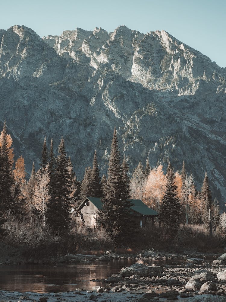 Mountain Creek Cabin