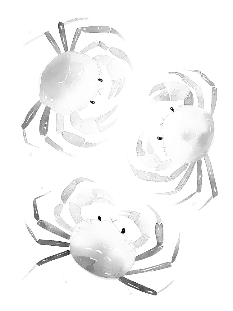 Crabs