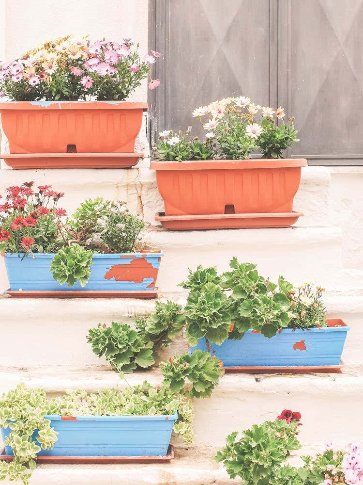 Puglia, Italy I Colorful flower staircase in a pastel summer aesthetic italian countryside village with a minimalist geometric retro vintage photography composition for living dolce vita in Tuscany