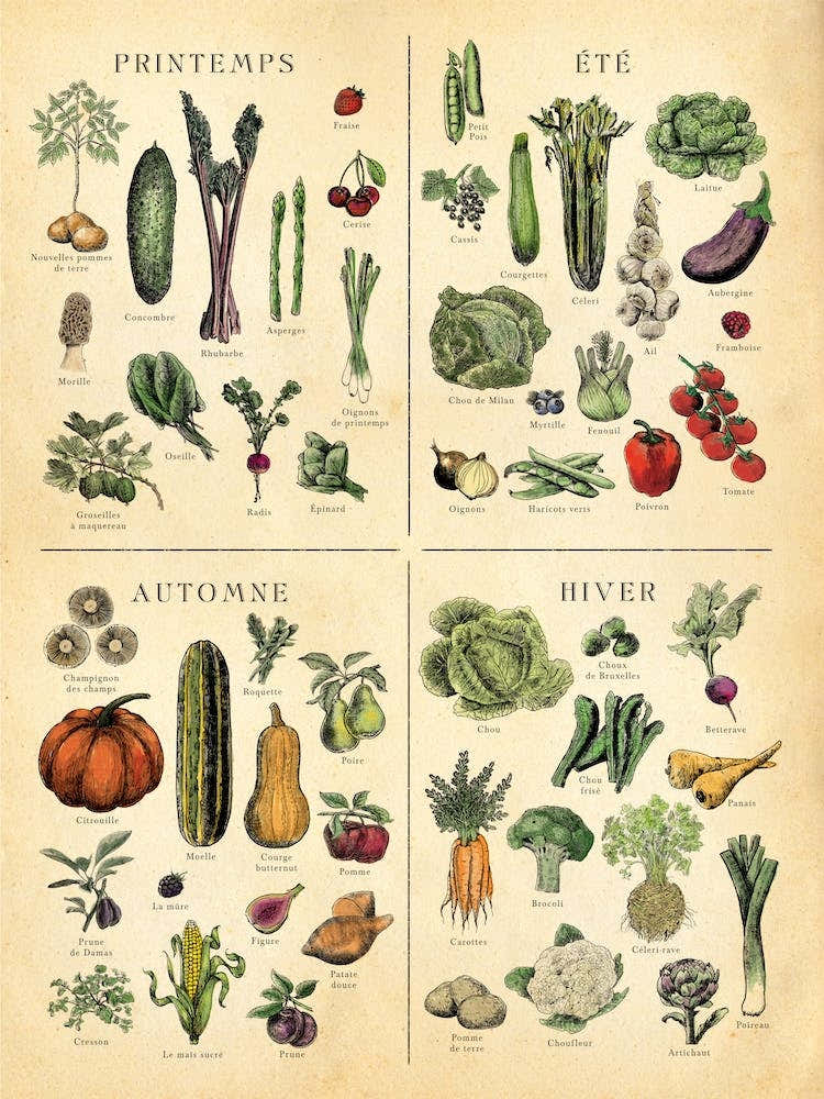 French Seasonal Veg Chart