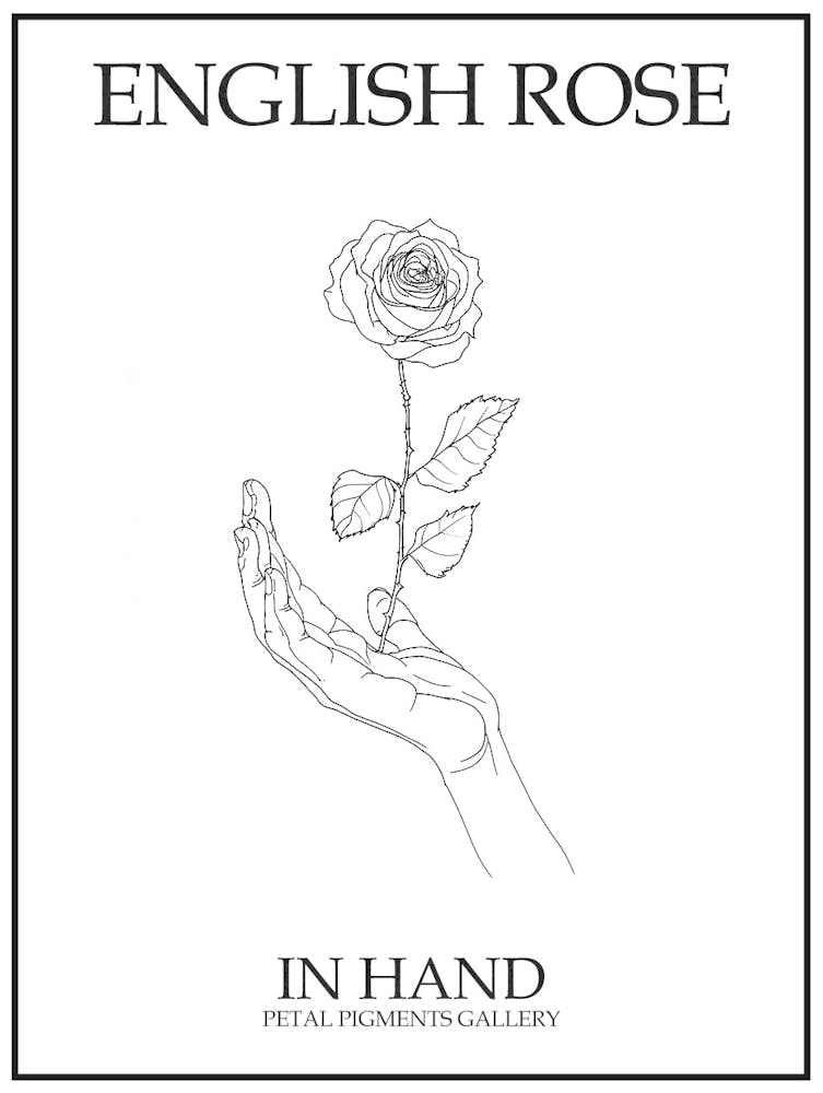 English Rose In Hand Line Drawing 4 Poster