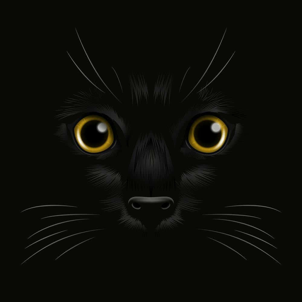 Black Cat Face